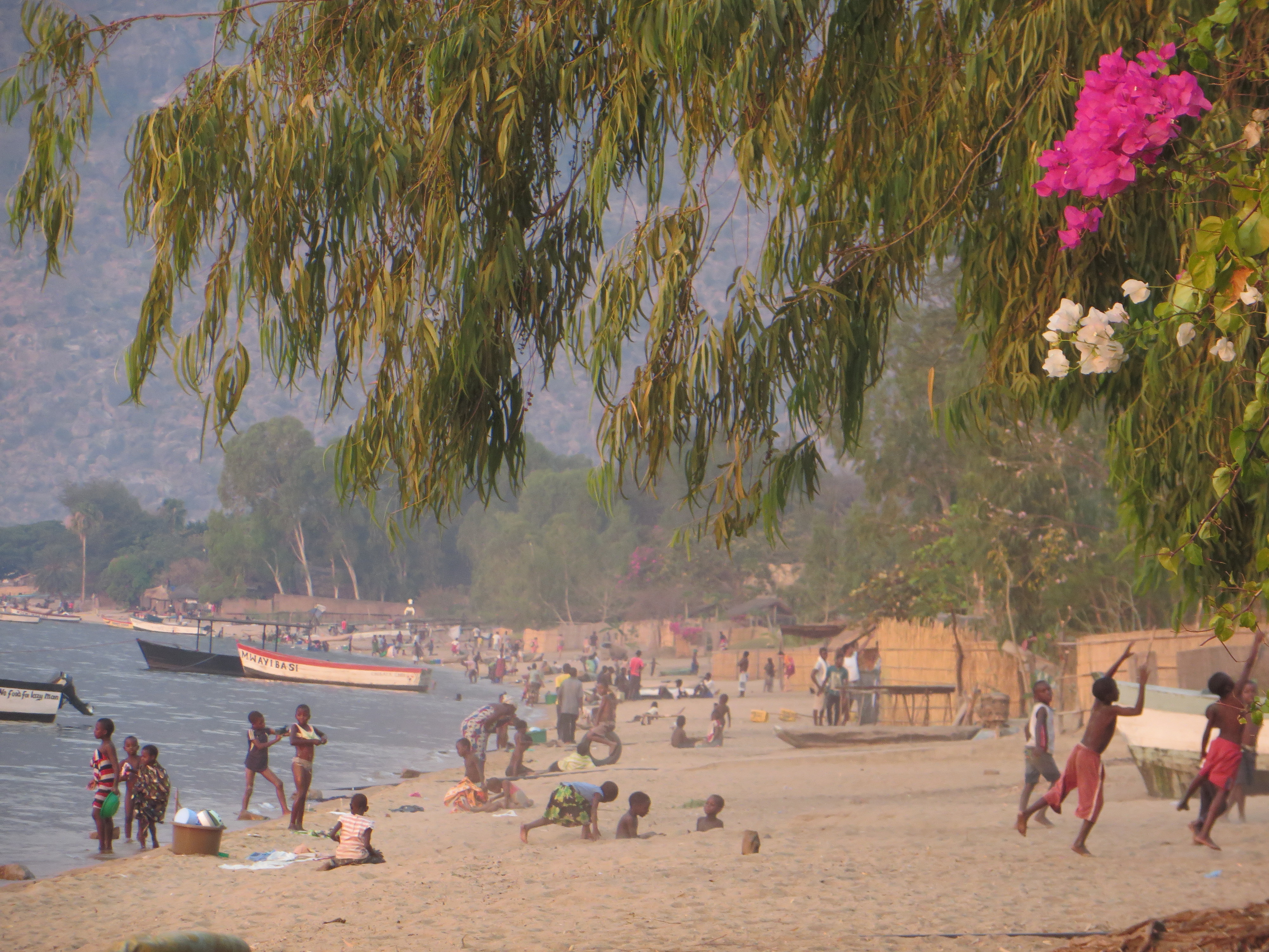 The beach at Cape Mclear, Malawi.